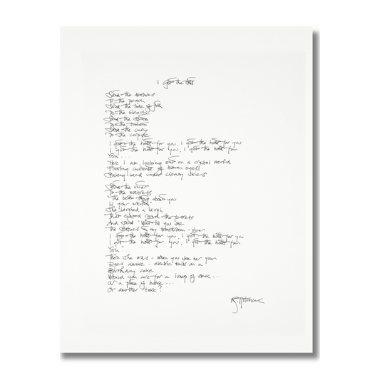 THE SOFT BOYS "I GOT THE HOTS" HANDWRITTEN LYRICS