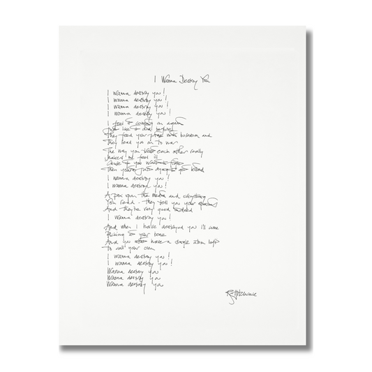 THE SOFT BOYS "I WANNA DESTROY YOU" HANDWRITTEN LYRICS