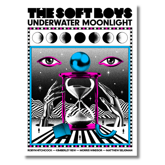 THE SOFT BOYS LIMITED EDITION SCREEN PRINT POSTER (SIGNED BY ROBYN HITCHCOCK)