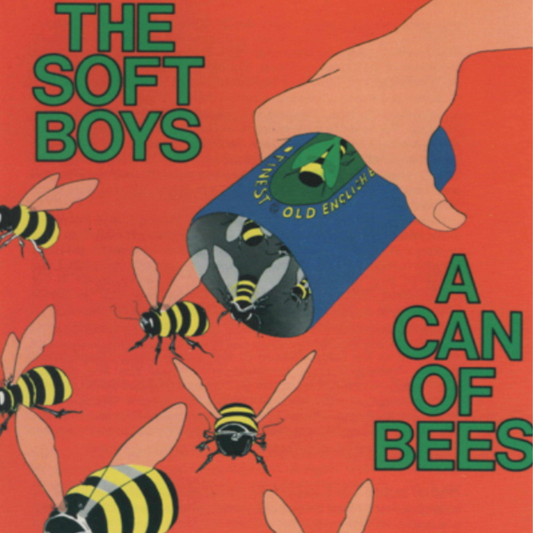 THE SOFT BOYS - A CAN OF BEES CD (GLASS FISHING PRESSING)