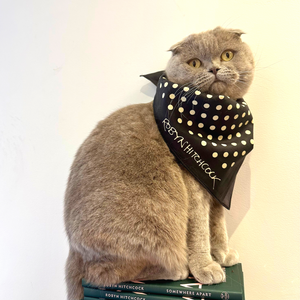 ROBYN HITCHCOCK POLKA DOT BANDANA